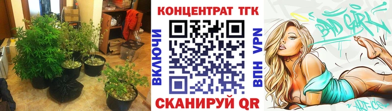 цены   Андреаполь  ТГК гашишное масло 