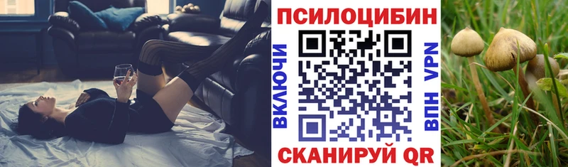 Галлюциногенные грибы мухоморы  Андреаполь 